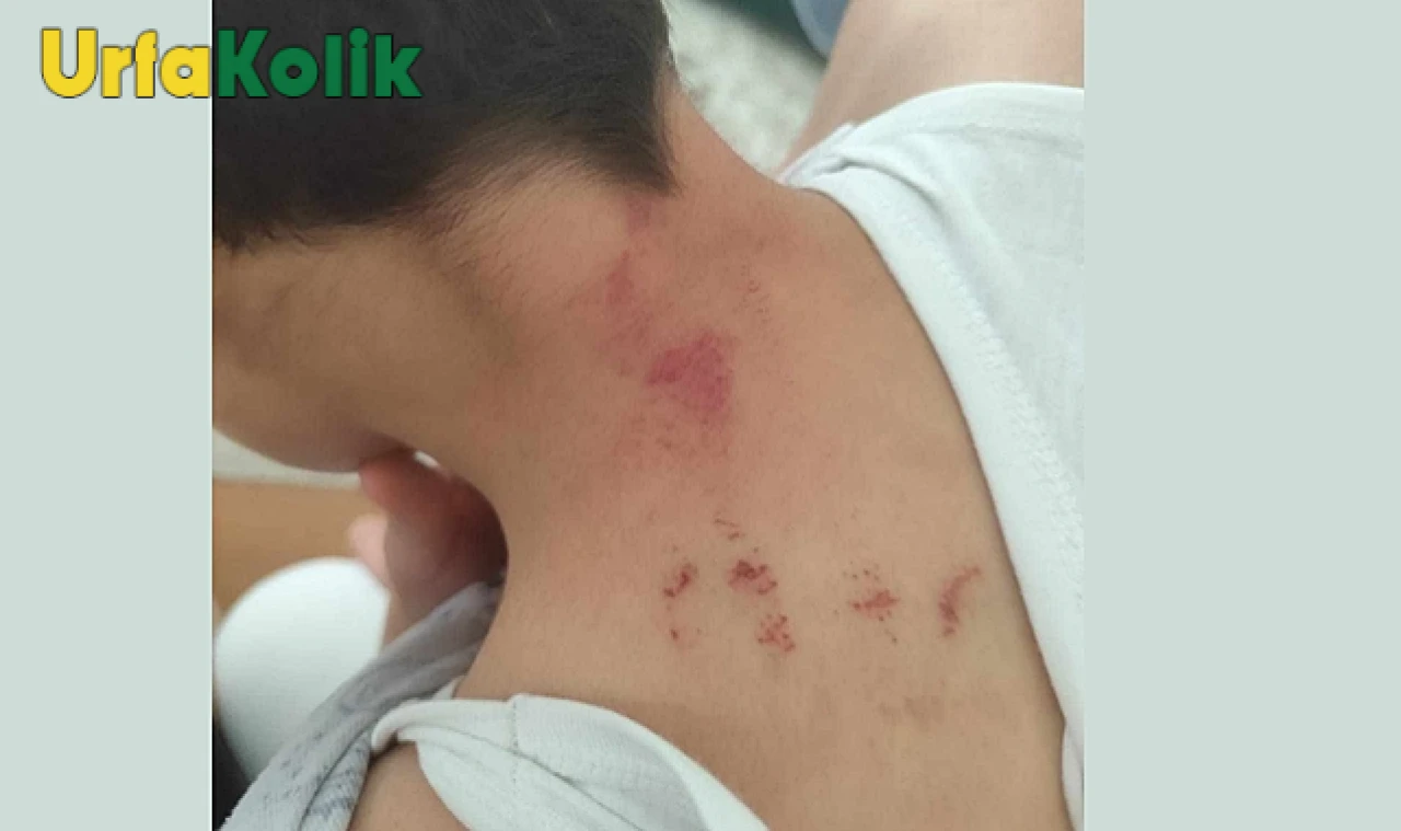 Şanlıurfa'da Ortaokulda Yaşanan Şiddet Olayı: Öğretmen Tutuklandı
