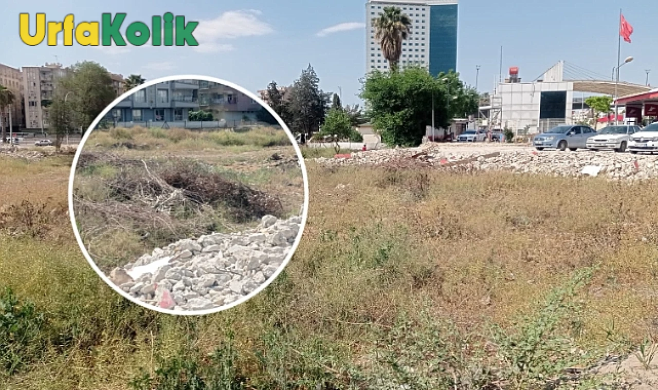 Haliliye ilçesinde bulunan tehlikeli park: Yangın tehlikesi göz ardı edilmemeli