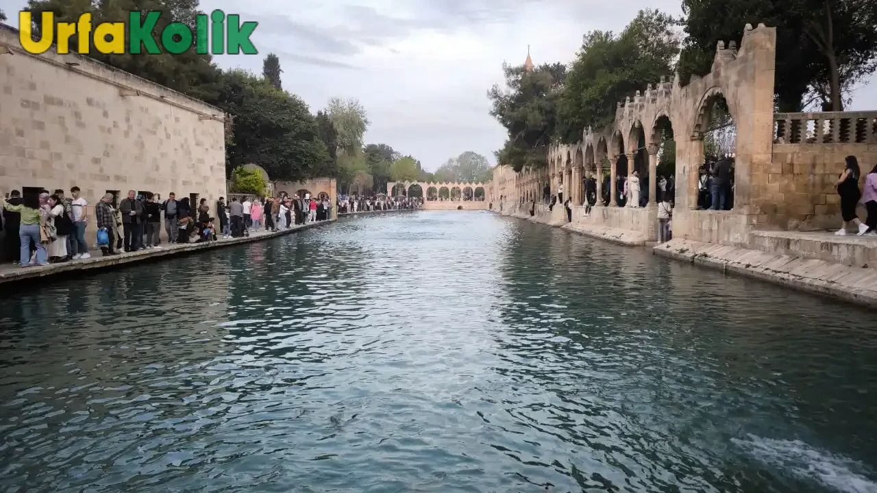 Şanlıurfa'da müzik işletmelerine 9 milyon TL idari para cezası kesildi!