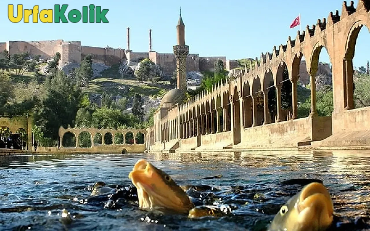 Balıklıgöl Tarihi