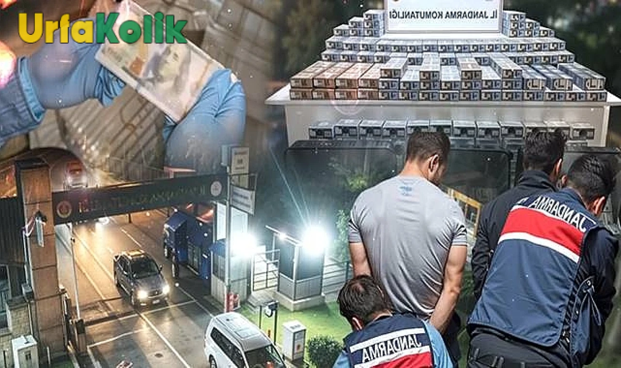 4.5 Milyar TL Değerinde Kaçak Döviz Operasyonu: 5 Kişi Tutuklandı