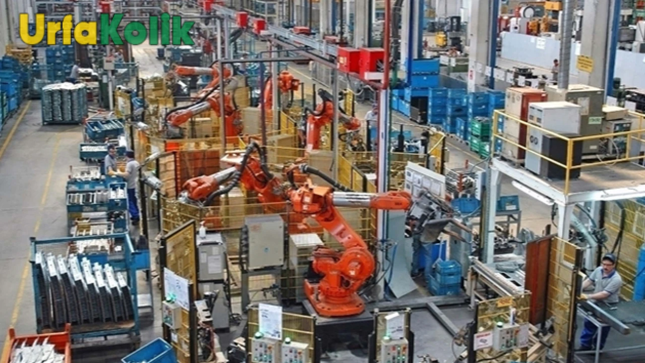 2025 Yılı İstihdam Verileri Yayınlandı: Önceki Yıla Kıyasla İşsizlik Azaldı