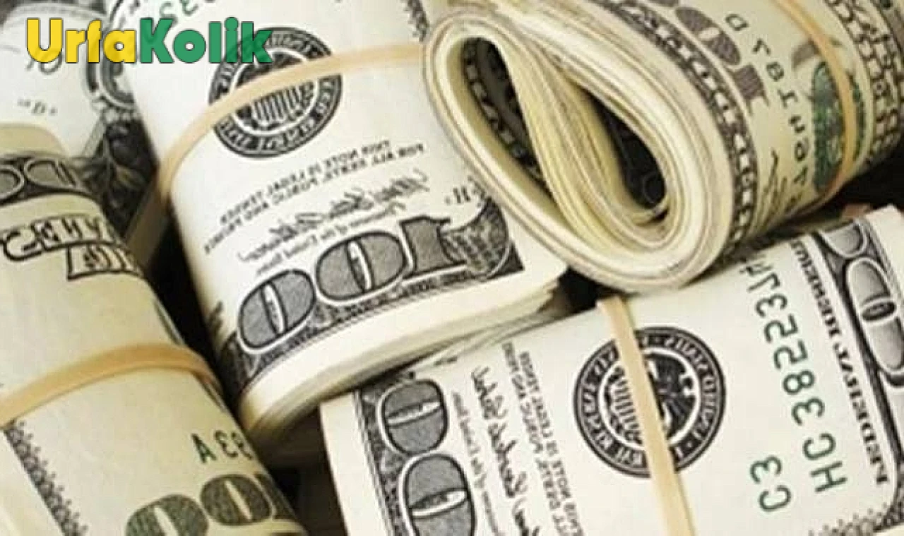 Dolar Kuru Yeni Haftaya Sabit Bir Başlangıç Yaptı!