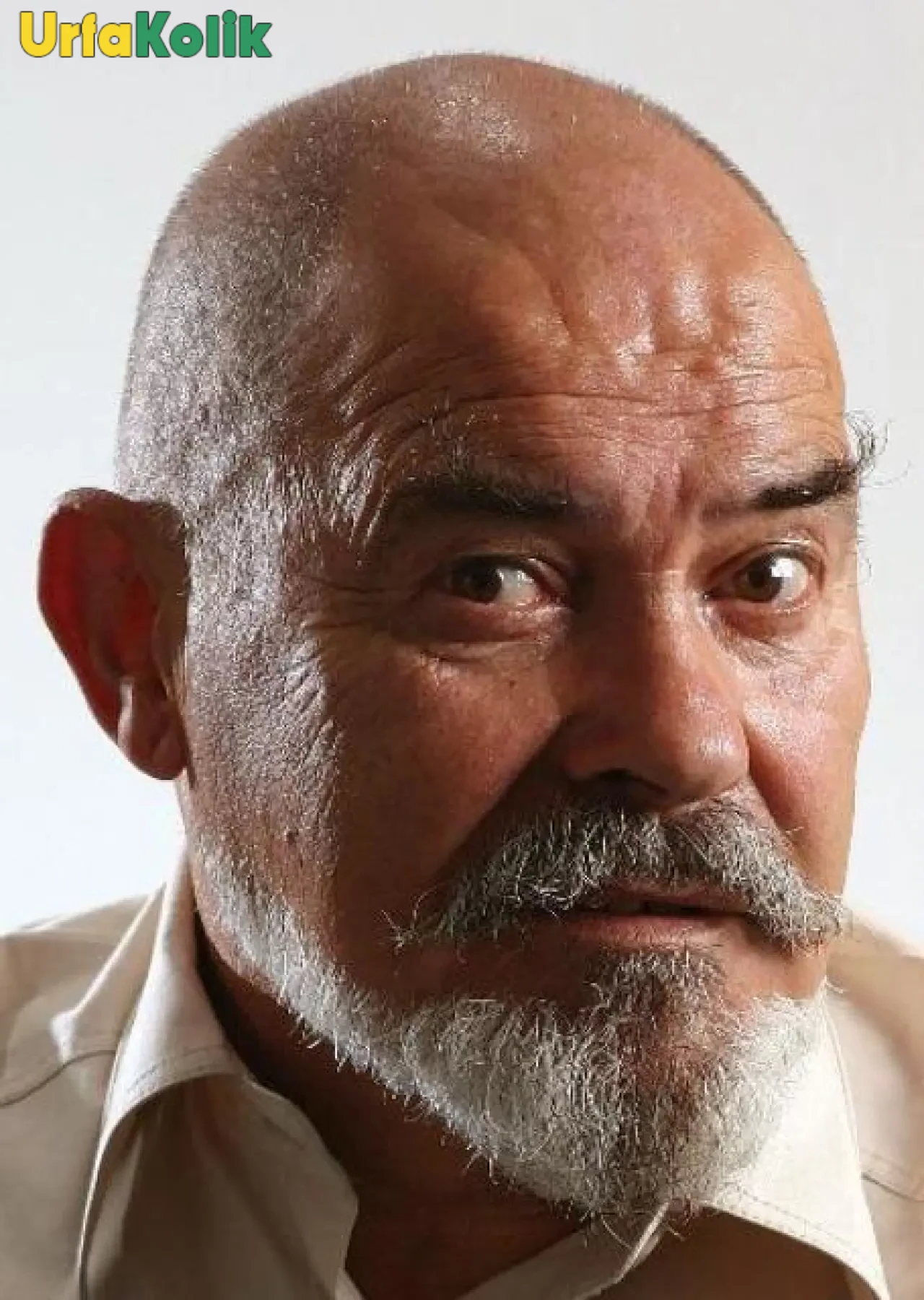 Şener Kökkaya Kimdir?