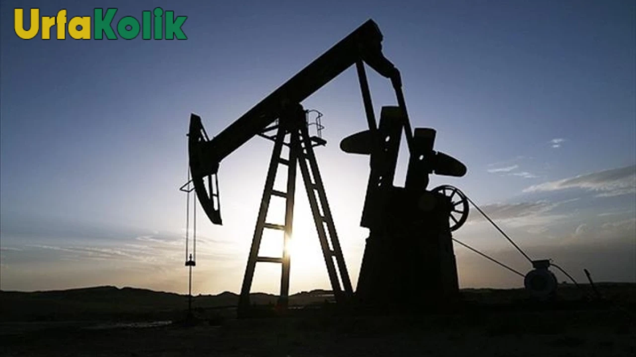 OPEC+ Ülkelerinin Kararı Petrol Fiyatlarını Etkiledi