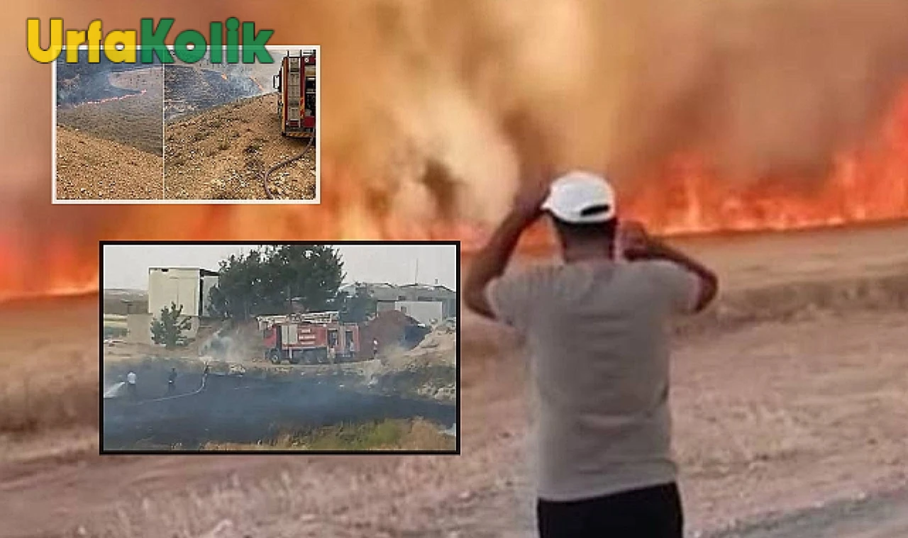 Şanlıurfa'da 24 Saatte 92 Yangın Olayına İtfaiye Ekiplerinden Müdahale!