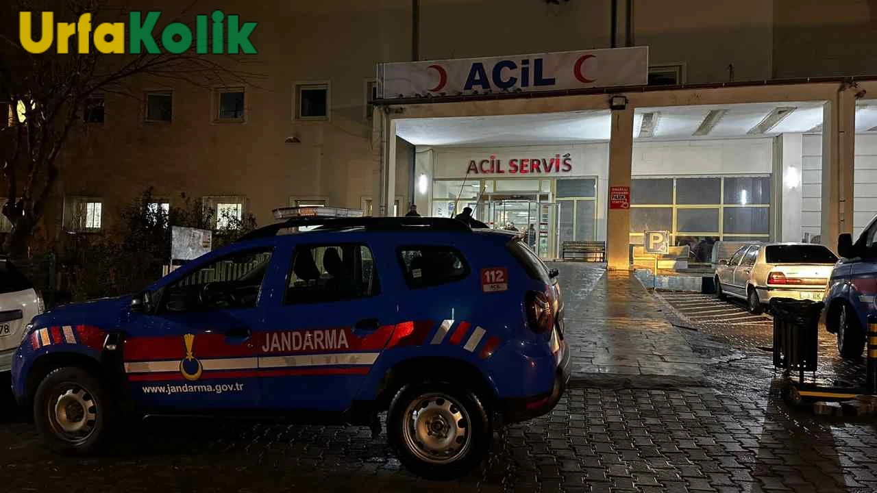 Siverek'te hayvan otlatma kavgasında tutuklama!