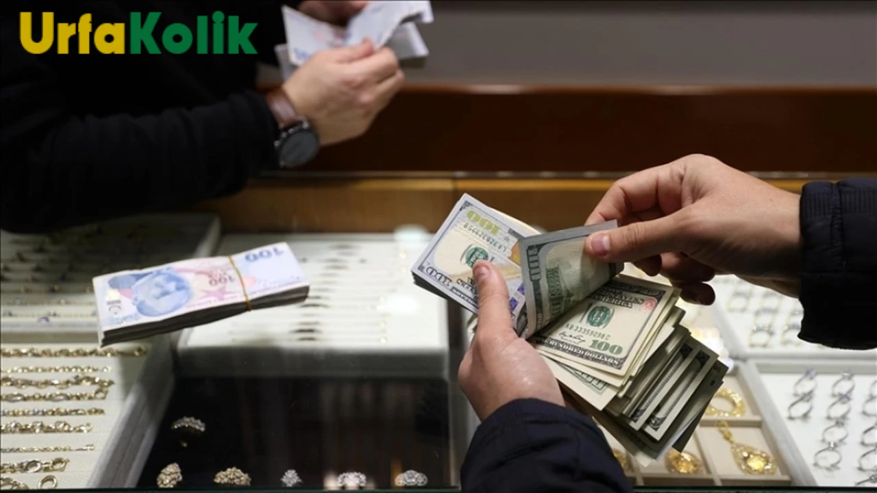 TCMB Anketi: TÜFE'de Düşüş Bekleniyor, Dolar Kurunda Karışık Görünüm!