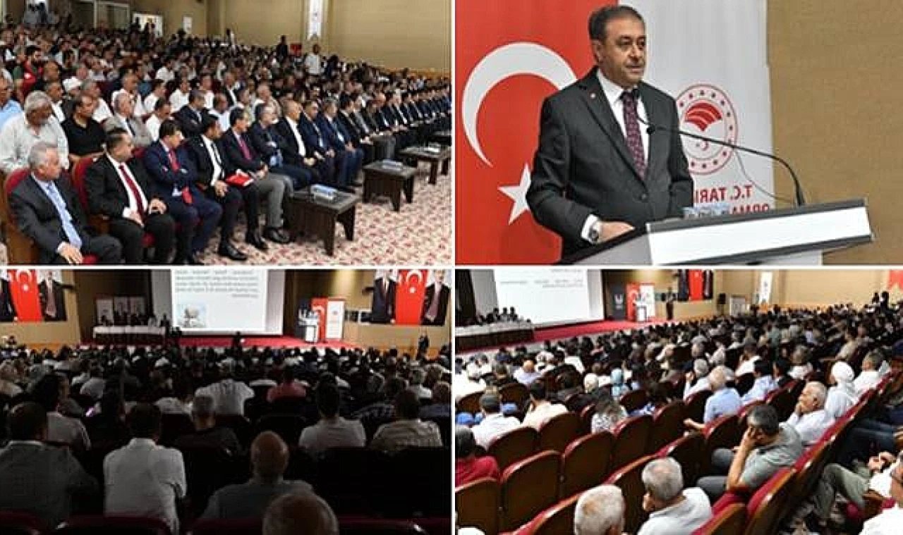 Şanlıurfa'da Pamuk Paneli