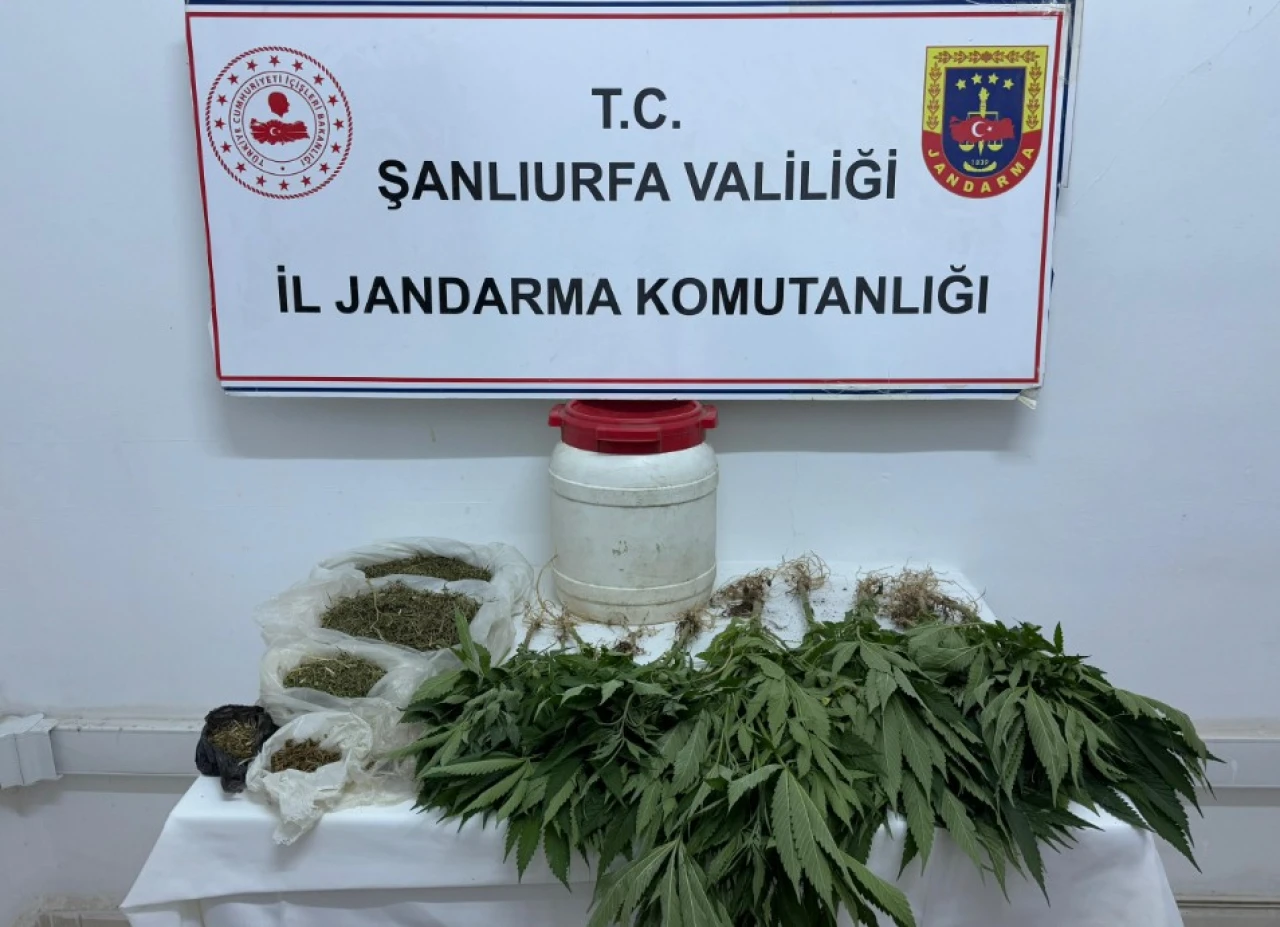 Suruç'ta Uyuşturucu Operasyonu