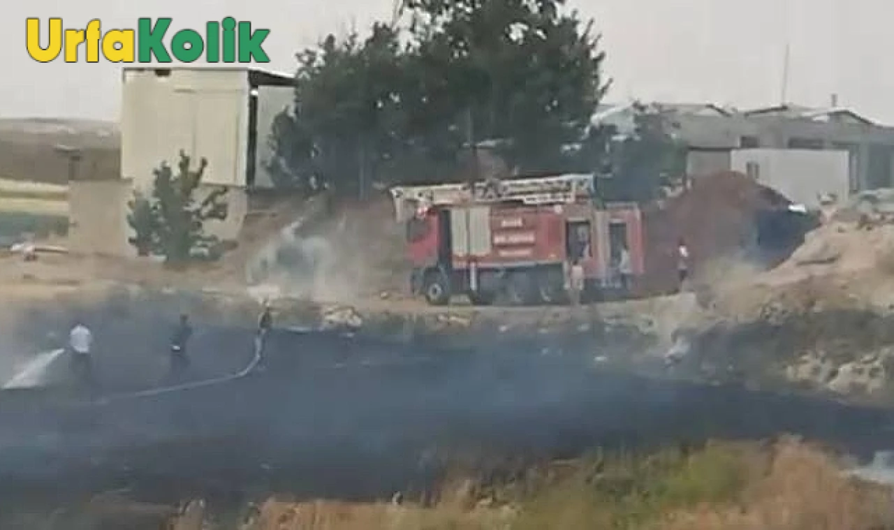 Şanlıurfa'da Ardı Ardına Çıkan Yangınlar Orman Ve Tarım Alanlarına Zarar Verdi.