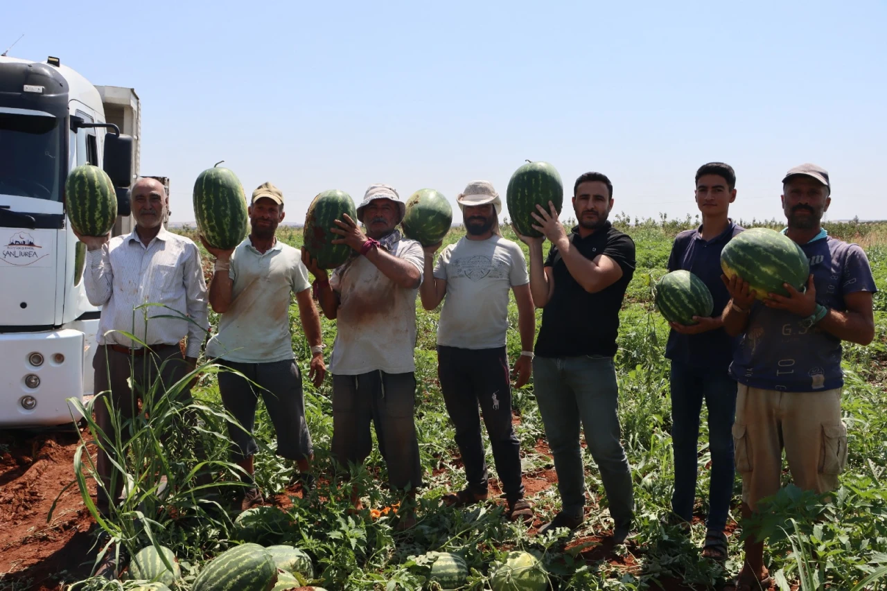 Büyükşehir’den Üreticiden Tüketiciye Dayanışma Köprüsü