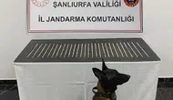 Şanlıurfa’da Uyuşturucu Operasyonu: 4 Şüpheli Gözaltına Alındı