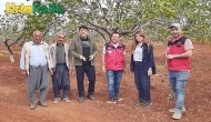 Şanlıurfa Bozova'da Fıstık Üretimini Tehdit Eden Kuraklık Endişesi Büyüyor
