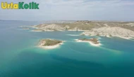 Adıyaman'daki ada, yüzlerce martı için eşsiz bir yuva haline geliyor.