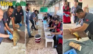Bozova'da su ürünleri yetiştirme tesisinde 12 milyon sazan yavrusu üretilecek.