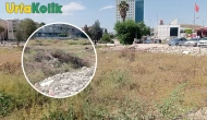 Haliliye ilçesinde bulunan tehlikeli park: Yangın tehlikesi göz ardı edilmemeli