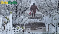 Tarım Alanlarında Felaket: Soğuk Hava Dalgası Çiftçileri Vurdu!