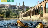 Balıklıgöl Tarihi
