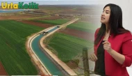 Suruç Ovası'nda sulama ücretleri Meclis gündemine taşındı