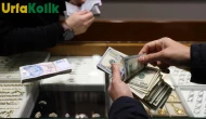 TCMB Anketi: TÜFE'de Düşüş Bekleniyor, Dolar Kurunda Karışık Görünüm!