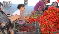 Şanlıurfa'da kırmızı biber fiyatları ne durumda?
