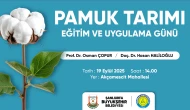 Büyükşehir’den Pamuk Çiftçilerine Eğitim Ve Uygulama Günü