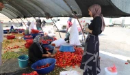 Mevsimlik İşçilere Sağlık Molası