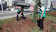 Haliliye’de Yaz Öncesi Parklarda Hummalı Çalışma