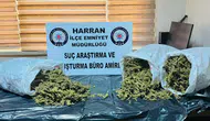 Harran’da Uyuşturucu Operasyonu