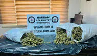 Harran’da 8 Kilo 240 Gram Esrar Ele Geçirildi: 1 Tutuklama