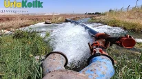 Elektrik Hırsızlığı Türkiye'deki Elektrik Arzını Ciddi Anlamda Tehdit Ediyor!