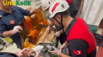 Şanlıurfa'da Dehşet Veren Kaza: Bir Kişinin Koluna 12 Numaralı Demir Parçası Saplandı!