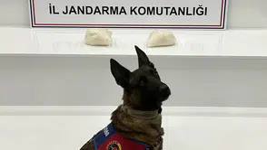Viranşehir'de Jandarmadan Narkotik Darbesi
