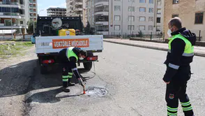 Büyükşehir’den Sivrisinek Ve Haşerelere Karşı Yoğun Mesai