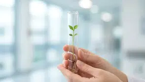 Tüp Bebek Tedavisi Nedir? Süreç, Başarı Oranı ve Tüp Bebek Fiyatları