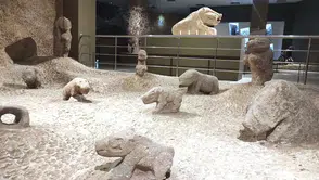 Şanlıurfa'da Yeni Nesil Bebek İsimleri Arasında En Popüler Tercih Açıklandı!