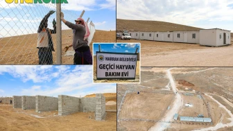 Harran Belediyesi Hayvan Bakım Evi Ve Doğal Yaşam Alanı İnşa Ediyor