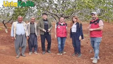 Şanlıurfa Bozova'da Fıstık Üretimini Tehdit Eden Kuraklık Endişesi Büyüyor