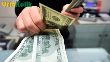 Döviz Kurlarında Dalgalanma Sürüyor! Dolar Ne Kadar Oldu?