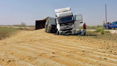 Şanlıurfa’da Buğday Yüklü Tır Devrildi: Tonlarca Buğday Yere Saçıldı