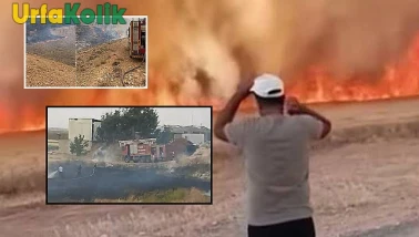 Şanlıurfa'da 24 Saatte 92 Yangın Olayına İtfaiye Ekiplerinden Müdahale!