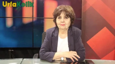 Ayşenur Arslan Kimdir?