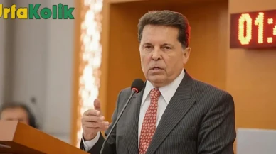 Prof. Dr. Ahmet Özer Kimdir?
