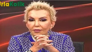 Seyhan Soylu  Kimdir?