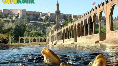 Balıklıgöl Tarihi