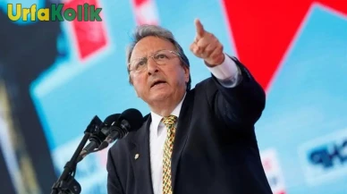 Prof. Dr. Tolga Yarman Kimdir? Nereli ve Kaç Yaşında