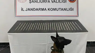 Şanlıurfa’da Uyuşturucu Operasyonu: 4 Şüpheli Gözaltına Alındı