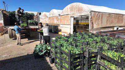 Büyükşehir’den Yeşeren Tasarruf