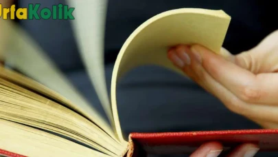 Şanlıurfa'da Okuma Oranı ve Eğitim İmkanları